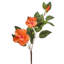 Double hibiscus et bourgeon 29 po -528599052