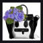« apportez-moi des fleurs », impression encadrée-23653017-24789686
