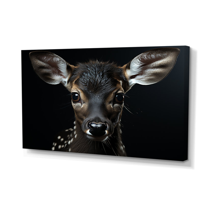 Portrait de cerf noir et blanc - art mural cerf