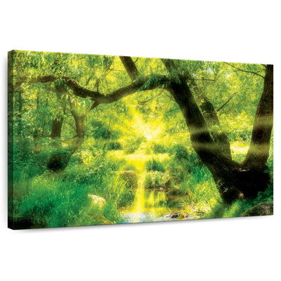 Kerrick Forest Sunburst