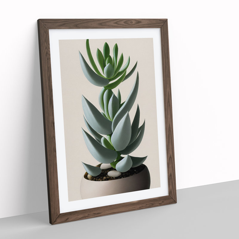 Succulent Plant - Wall Art, 66cm H x 48cm W, Walnut Framed Paper, White