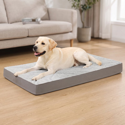 Waterproof Anti-Slip Pet Bed Mat & Sofa Protector, Reusable Incontinence Furniture Cover for Couch, Vehicle and Pet Bed, Suitable for Dogs and Cats, Ivory, Size 52x82