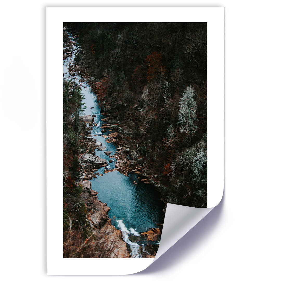 Fotodruck Fluss im Wald