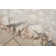 Aberdeen Abstract Indoor Rug
