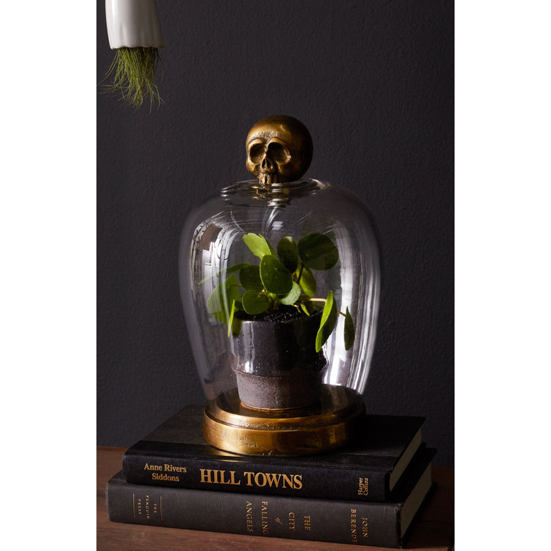 Antique Gold Skull Handle Glass Cloche