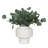Uttermost Essence Eucalyptus Accent & Vase