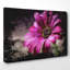Flower Purple Daisy 1 - Wrapped Canvas-35549076