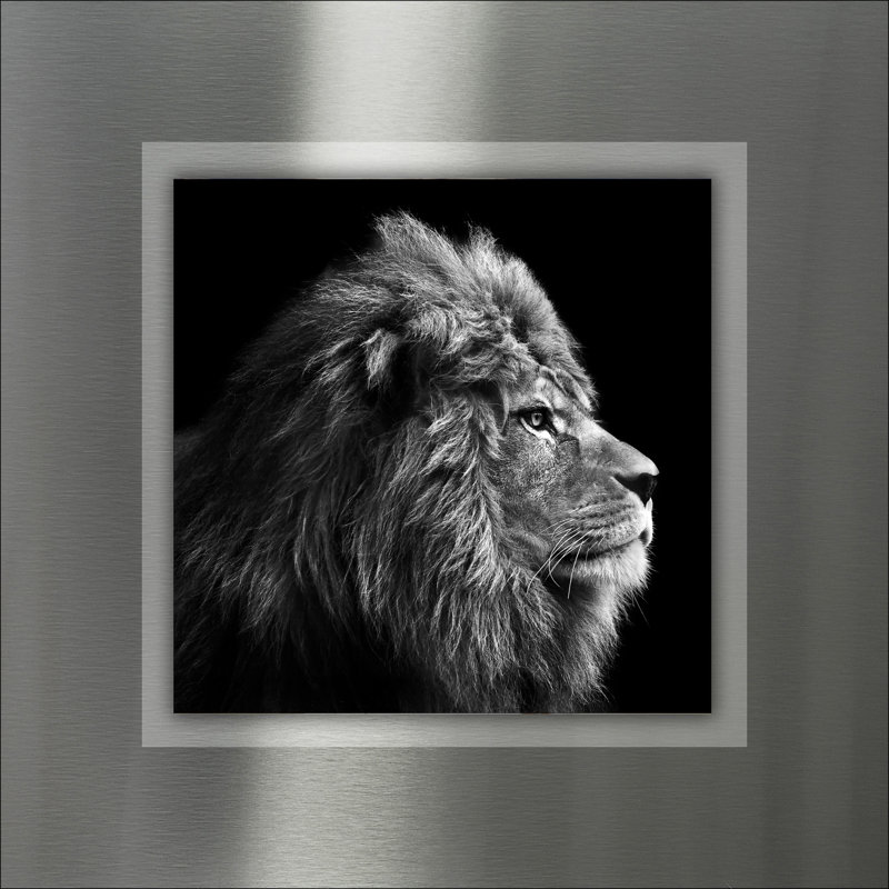 Lion Head - Single Picture Frame Print on Metal