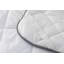2.5cm Mattress Topper-41684837