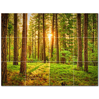 Murale décorative en céramique 12 po x 12 po Trees Photo