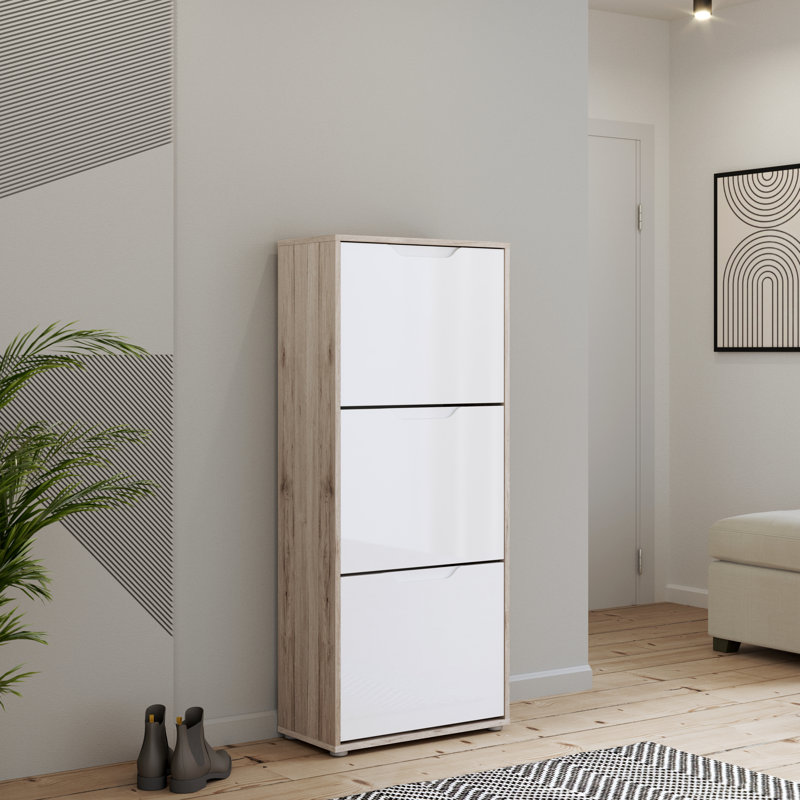 Raiana 12 Pair Shoe Storage Cabinet