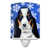 Basset hound de face
