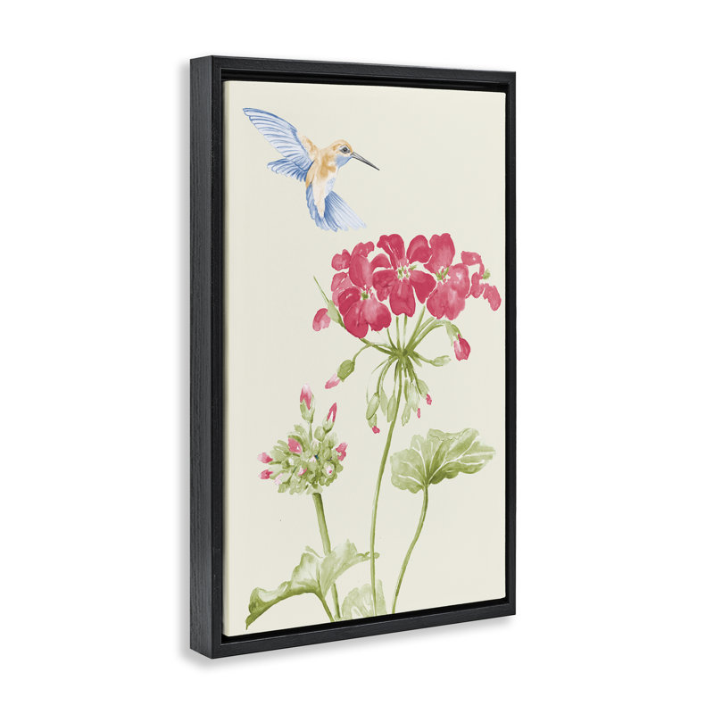«Geraniums & Hummingbird», toile flottante encadrée par Patricia Pinto, H 25 po x l 17 po, Cadre flottant noir de jais