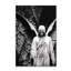 « cemetery ange », impression sur toile