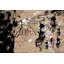 1 Piece Wrapped Canvas Wall Art-16673134