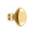 PVD Polished Brass