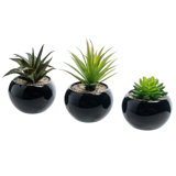 3 Piece Artificial Succulents Plants In Black Mini Planter