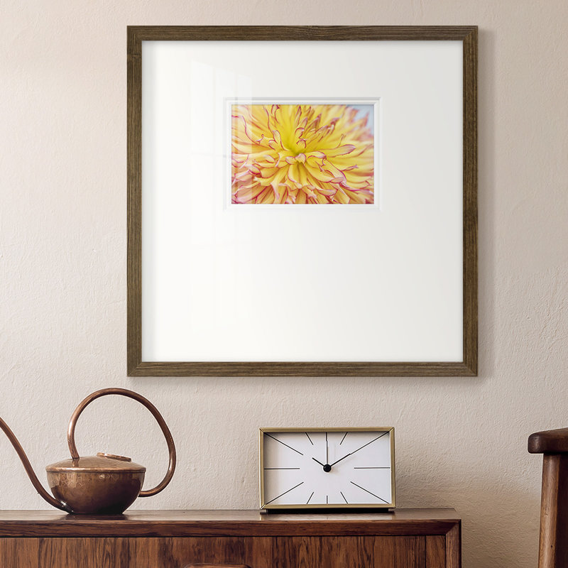 " Blooms III ", 21" H x 21" W x 1.25" D