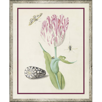Flower, Seashell And Insect III Giclee Print