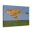 «Cheetah H chasse», art mural-587663371