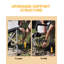 Folding Camping Chair