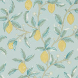 Lemon Tree Wallpaper