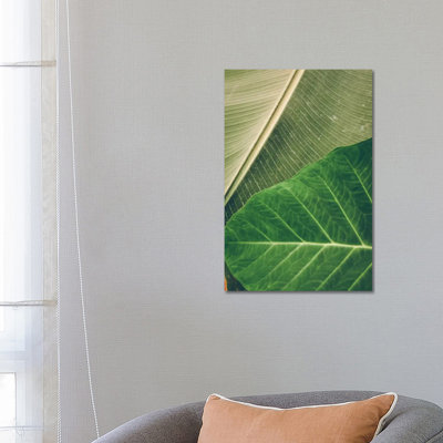 Leaves I 1 Piece Wrapped Canvas Wall Art