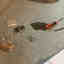 Customer photo 3 of 5