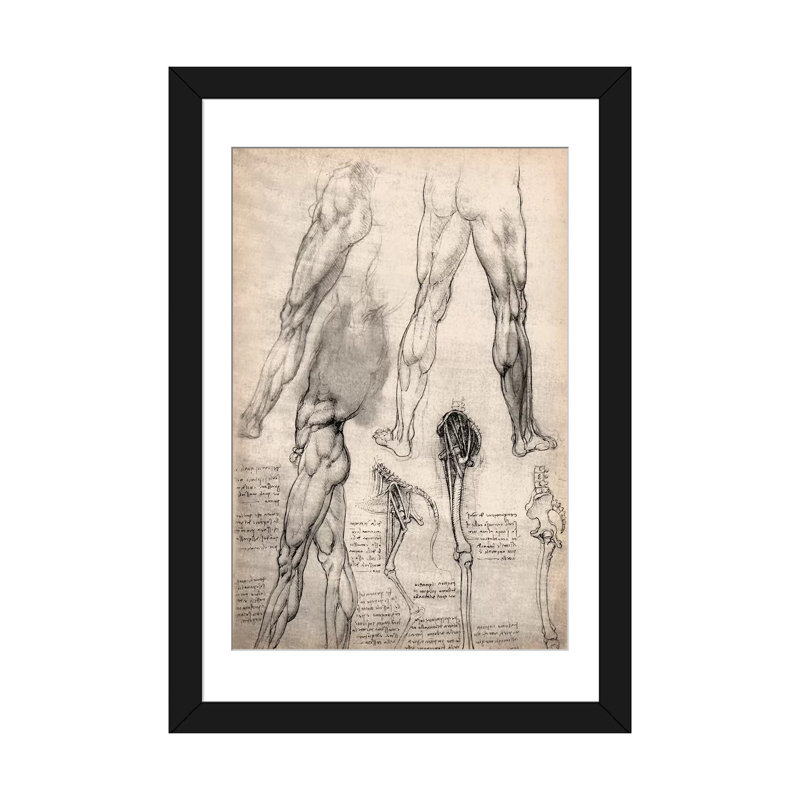 «S Carnets de croquis de jambes» par Leonardo Da Vinci, impression sur toile tendue, H 24 po x l 16 po x P 1 po, Blanc