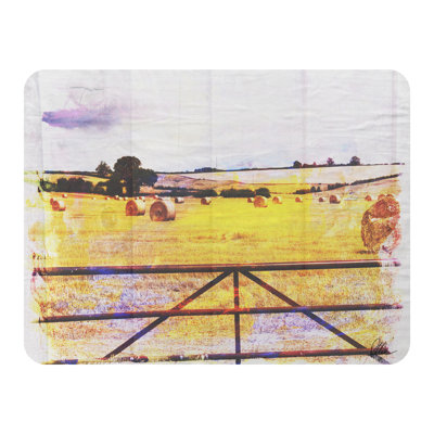 Schweitzer Throw Blanket