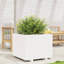 Bhavika Planter Box-1814111156-1814111144