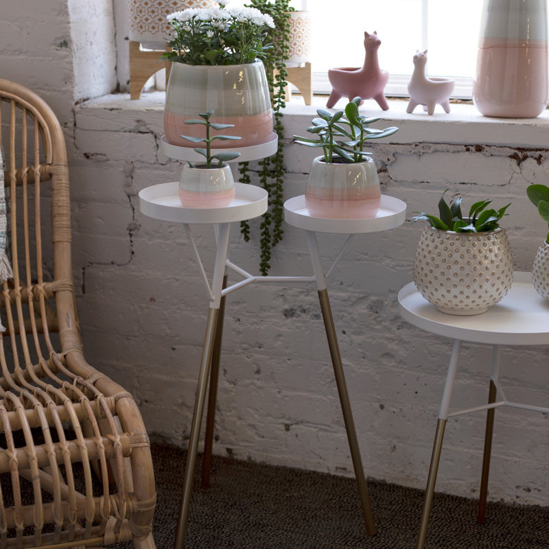 Plant Stand