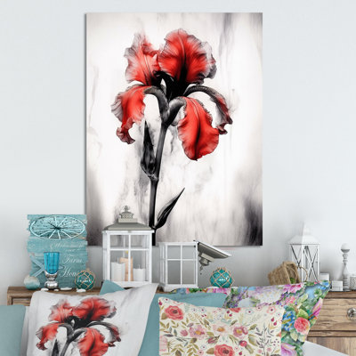 Iris rouge, noir, pétale I sur impression métallique