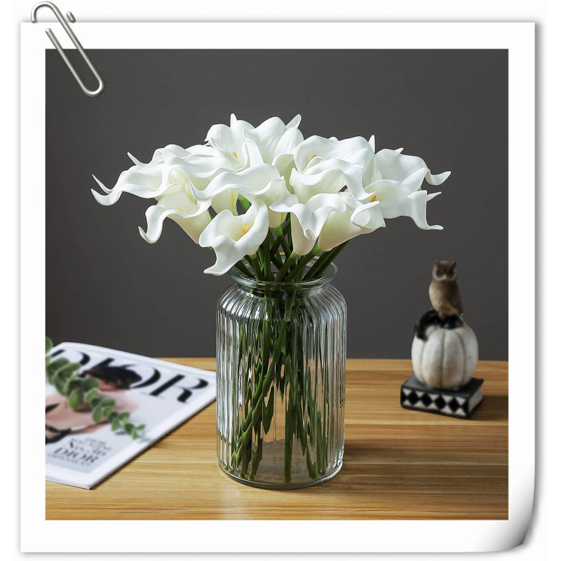 20 pièces de fleurs de lys Calla, Blanc