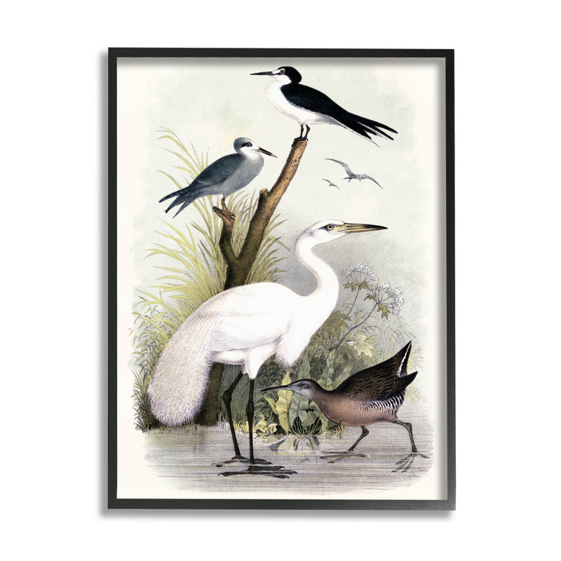 «Varied Crane Birds Gathered Riverbank Stream Botanicals» par Piddix - peinture à cadre flottant sur toile