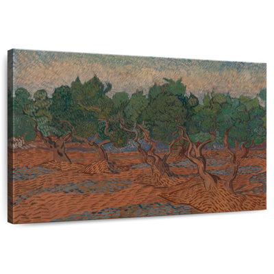Harnek Olive Grove 1889