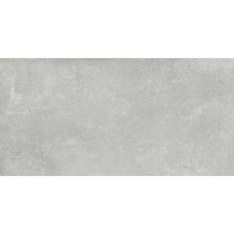 Ledger 24" x 48" Porcelain Wall and Floor Tile