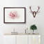 Striking White and Pink Carnation in Abstract - Picture Frame Graphic Art Print-55730206-55730209