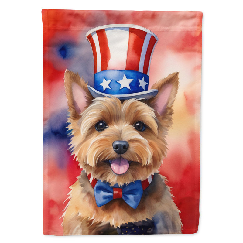 Drapeau patriotique du jardin américain, Norwich Terrier