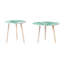 De 2 tables d'appoint inspirées de la nature - Des plateaux avec des motifs aquarelles succulents transforment votre vestibule