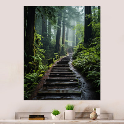 " USA Muir Woods National Monument I "