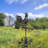 Delfine 36'' H Aluminum Animals Weathervane