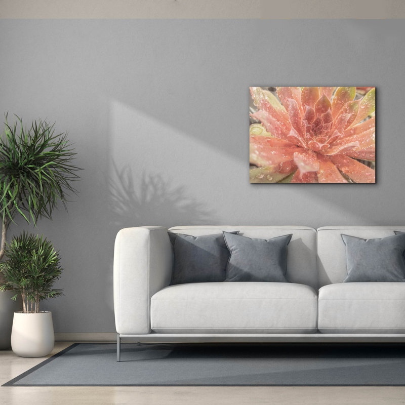  «Droplet Of The Desert 2» par Life BeautifuLEE, art mural sur toile, 34 po x 26 po, H 26 po x l 34 po