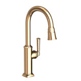 Zemora Single Handle Pull Down Kitchen Faucet