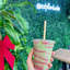 Grand roseau buvant des pailles