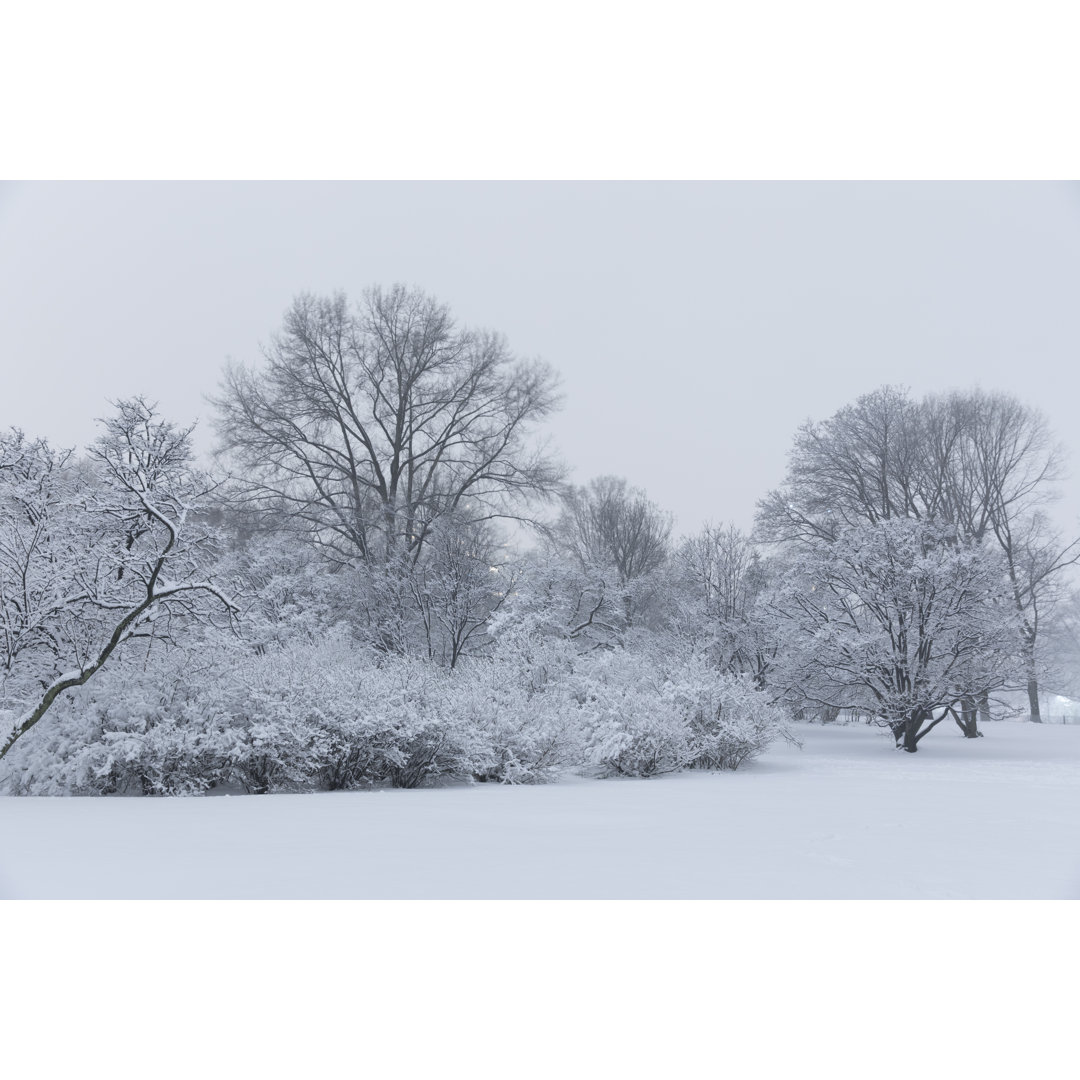 Schnee im Central Park