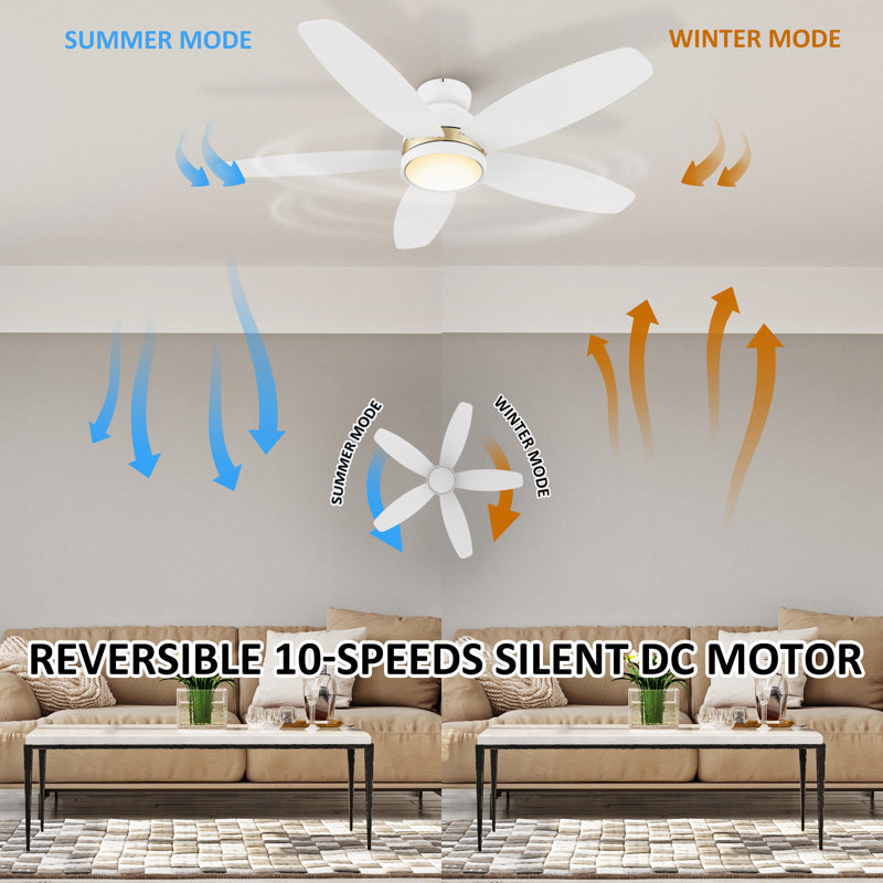 Mariyanka 48'' Ceiling Fan with LED Lights, White