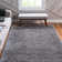 Indoor Rug