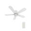 Ventilateur de plafond encastré à DEL à 5 pales de 48 po avec télécommande et ensemble d'éclairage inclus.-857114374
