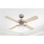 Romain 105cm Ceiling Fan-5545960